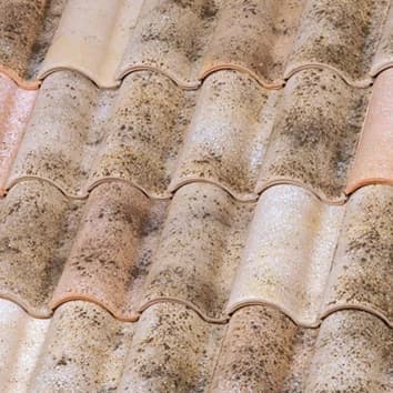 Terracotta · Aitana Curvado
